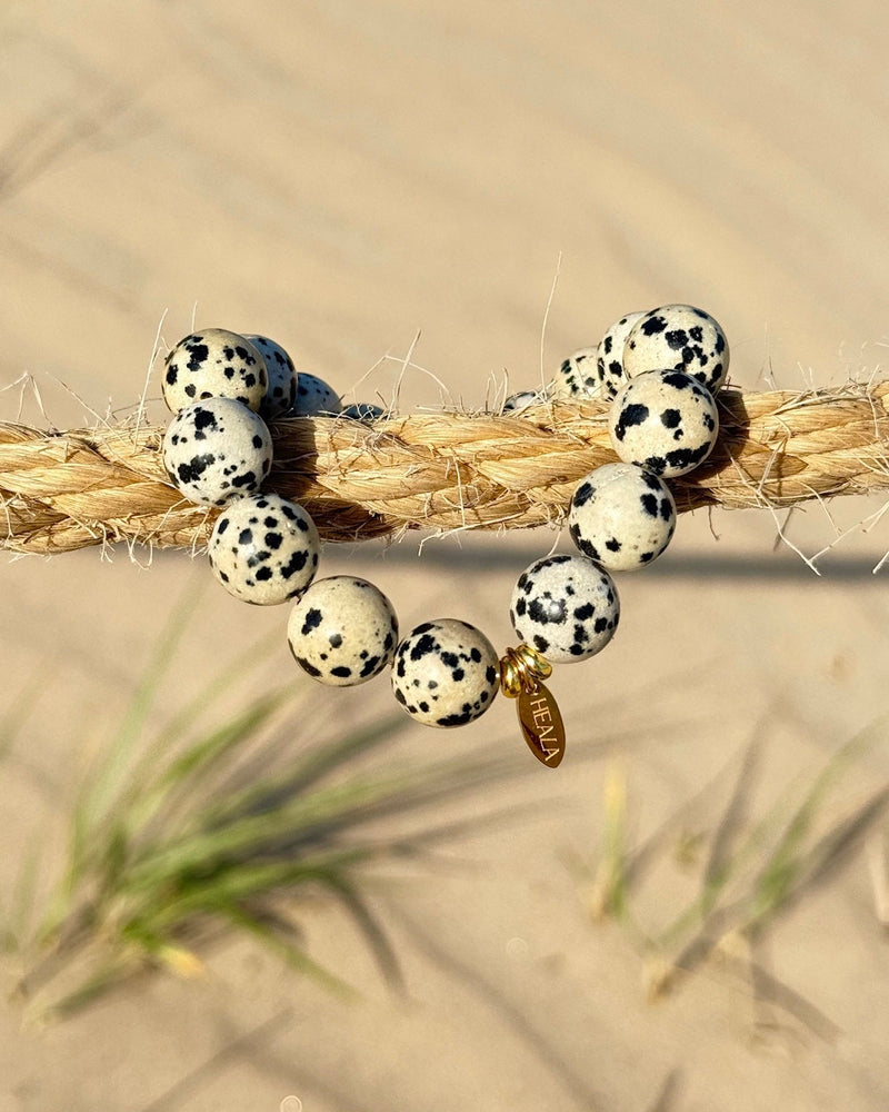Dalmatian Jasper Bracelet
