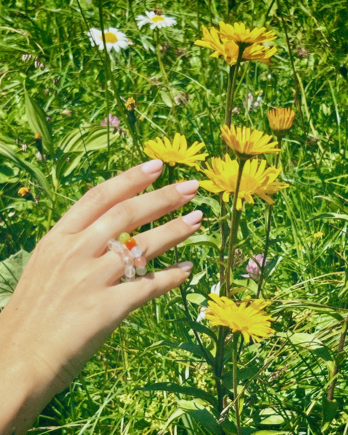 Cinque Ring